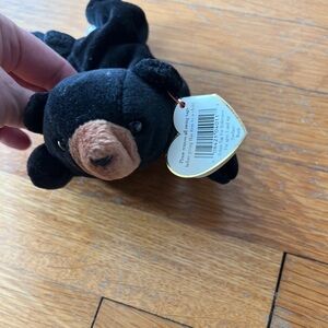 TY Beanie Baby “Blackie” the Black Bear